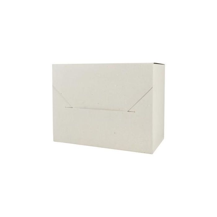 Archívny box EMBA TYP II/390 R:180x390x290 mm 